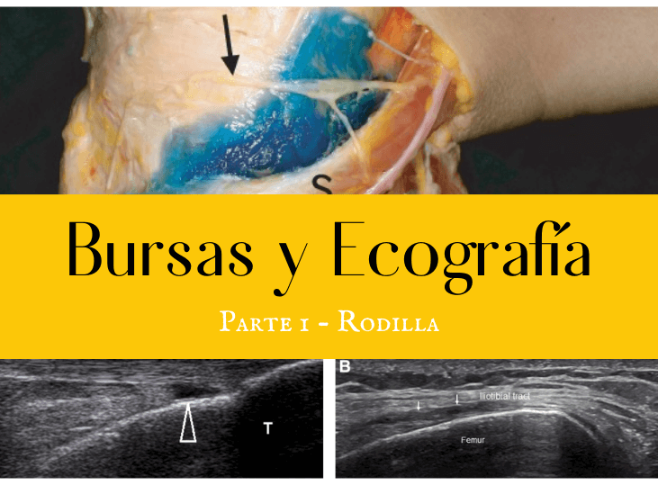 bursas-y-ecografia-parte-1-rodilla